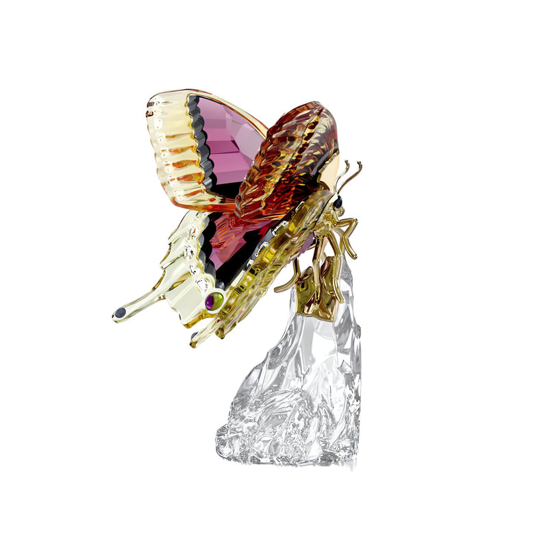 Swarovski Idyllia Butterfly