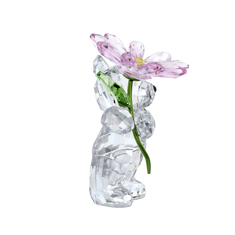 Swarovski Kris Bear A Daisy for You