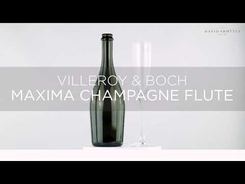 Villeroy & Boch Maxima Champagne Flute